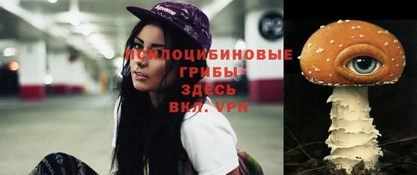 прущий лед Аркадак