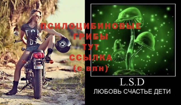 прущий лед Аркадак
