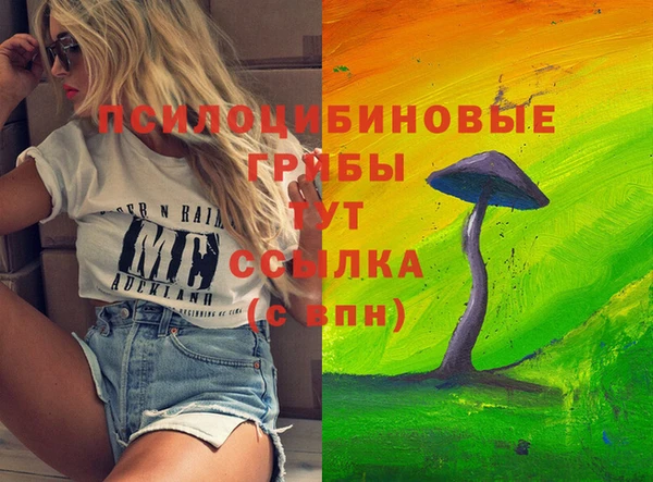 бошки Армянск