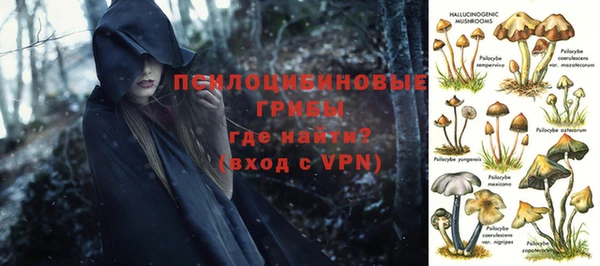 бошки Армянск